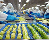 富士通为生鲜食品厂定制洁净方案，助力食品厂�美好环境建设